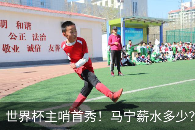 世界杯主哨首秀！马宁薪水多少？主裁判5万美元+单场奖金2000美元