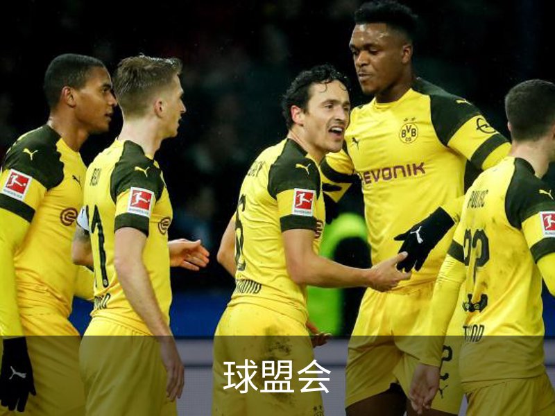 关于球盟会